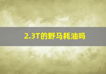 2.3T的野马耗油吗