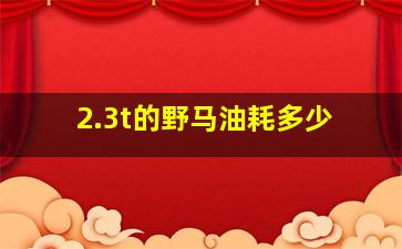 2.3t的野马油耗多少