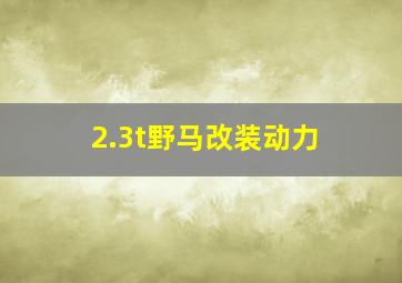 2.3t野马改装动力