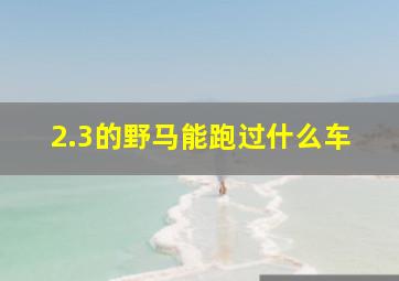 2.3的野马能跑过什么车