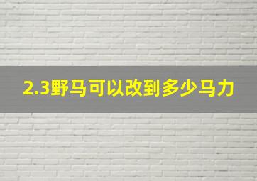 2.3野马可以改到多少马力