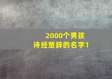 2000个男孩诗经楚辞的名字1