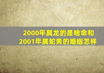 2000年属龙的是啥命和2001年属蛇男的婚姻怎样