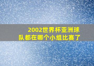 2002世界杯亚洲球队都在哪个小组比赛了