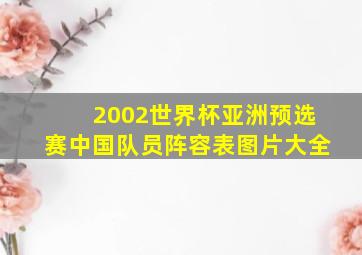 2002世界杯亚洲预选赛中国队员阵容表图片大全