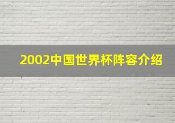 2002中国世界杯阵容介绍