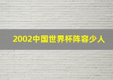 2002中国世界杯阵容少人