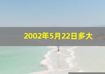 2002年5月22日多大