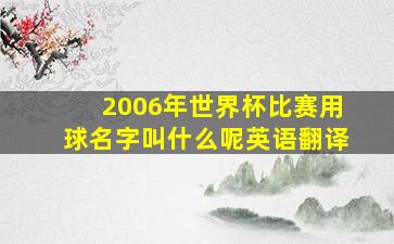 2006年世界杯比赛用球名字叫什么呢英语翻译