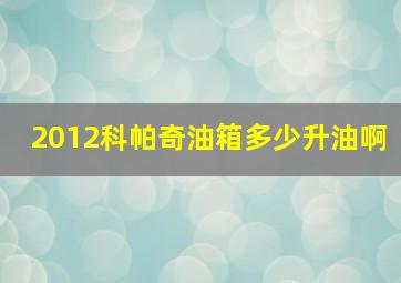 2012科帕奇油箱多少升油啊