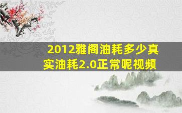 2012雅阁油耗多少真实油耗2.0正常呢视频