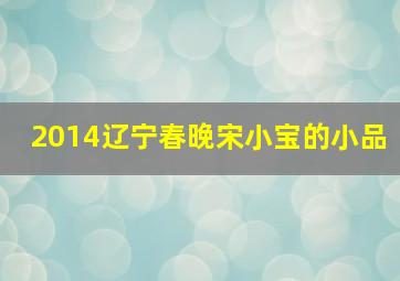 2014辽宁春晚宋小宝的小品