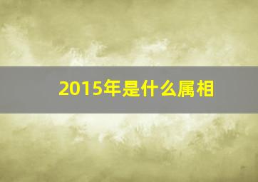 2015年是什么属相