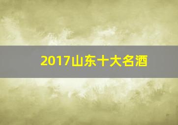 2017山东十大名酒