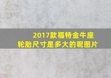 2017款福特金牛座轮胎尺寸是多大的呢图片