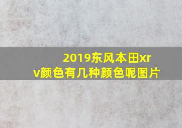 2019东风本田xrv颜色有几种颜色呢图片