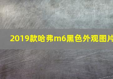 2019款哈弗m6黑色外观图片