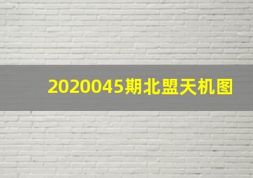 2020045期北盟天机图