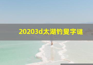 20203d太湖钓叟字谜