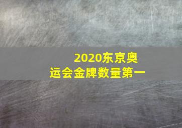 2020东京奥运会金牌数量第一