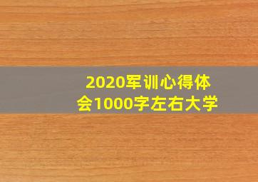 2020军训心得体会1000字左右大学