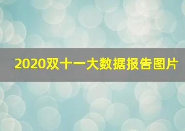 2020双十一大数据报告图片