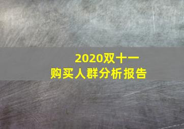 2020双十一购买人群分析报告