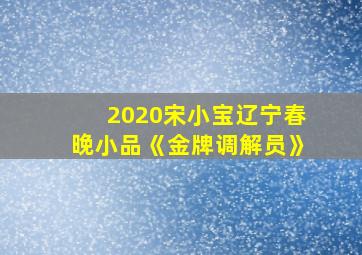 2020宋小宝辽宁春晚小品《金牌调解员》