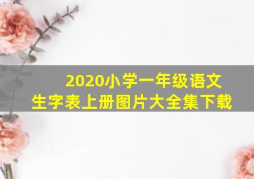 2020小学一年级语文生字表上册图片大全集下载