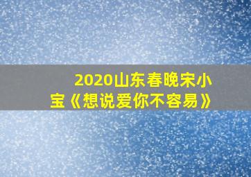 2020山东春晚宋小宝《想说爱你不容易》