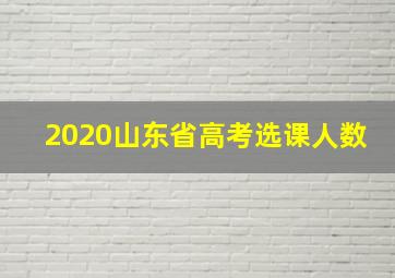 2020山东省高考选课人数