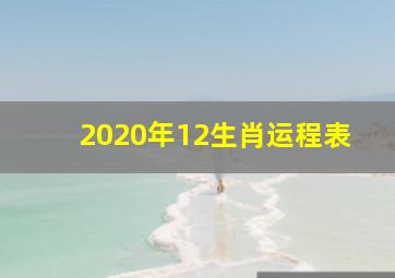 2020年12生肖运程表