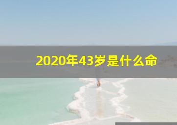 2020年43岁是什么命