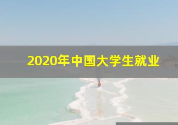 2020年中国大学生就业