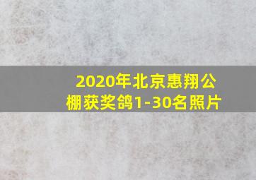 2020年北京惠翔公棚获奖鸽1-30名照片