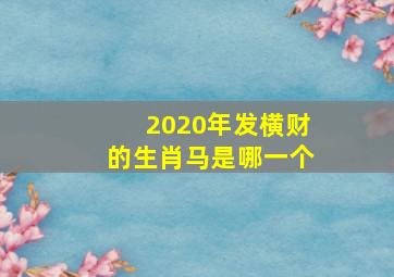 2020年发横财的生肖马是哪一个