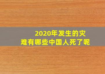 2020年发生的灾难有哪些中国人死了呢