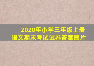 2020年小学三年级上册语文期末考试试卷答案图片