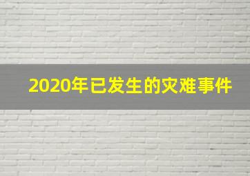 2020年已发生的灾难事件