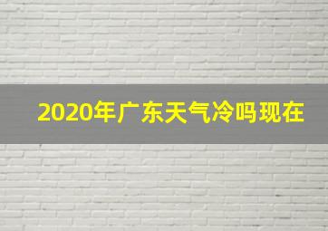 2020年广东天气冷吗现在