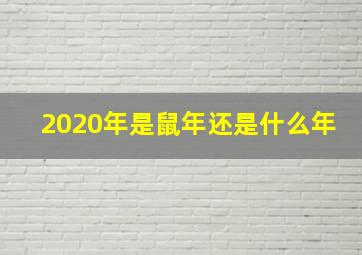 2020年是鼠年还是什么年