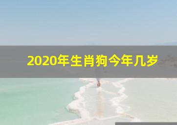 2020年生肖狗今年几岁