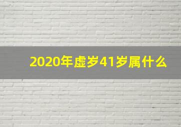 2020年虚岁41岁属什么