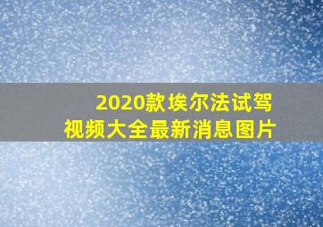 2020款埃尔法试驾视频大全最新消息图片