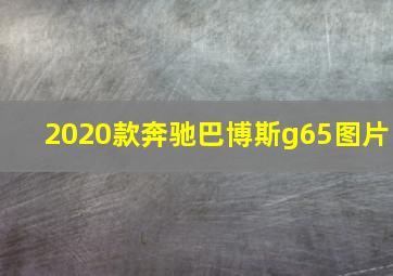 2020款奔驰巴博斯g65图片