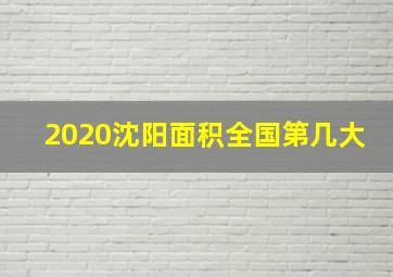 2020沈阳面积全国第几大