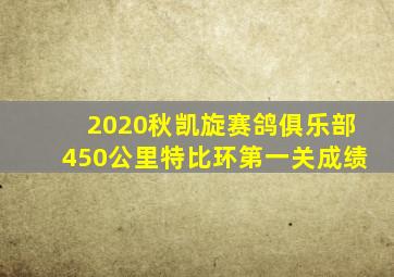 2020秋凯旋赛鸽俱乐部450公里特比环第一关成绩