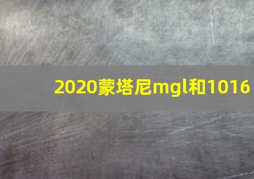 2020蒙塔尼mgl和1016