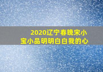 2020辽宁春晚宋小宝小品明明白白我的心