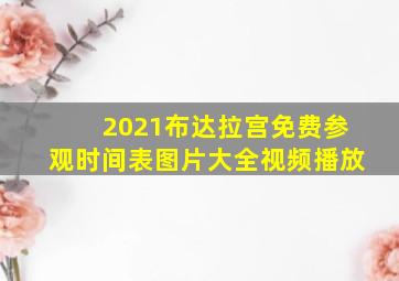 2021布达拉宫免费参观时间表图片大全视频播放